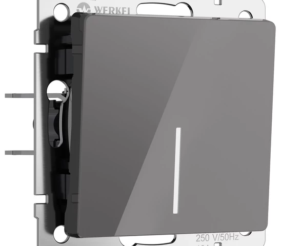 W1110144/ Выключатель одноклавишный с подсветкой (графит акрил)